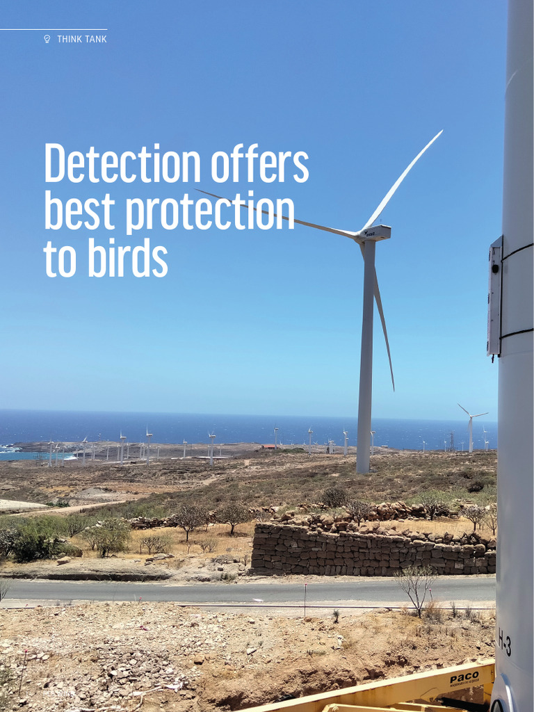 2022.01 ENG Detection Offers Best Protection To Birds PES Magazine ...