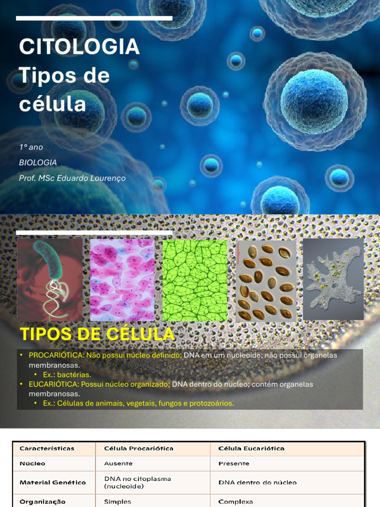 Tipos de Células: Procariotas e Eucariotas | PDF