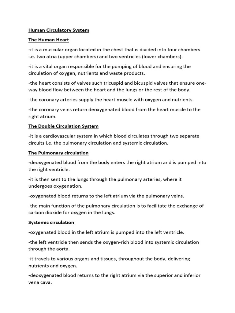 Overview of the Human Circulatory System | PDF | Circulatory System ...