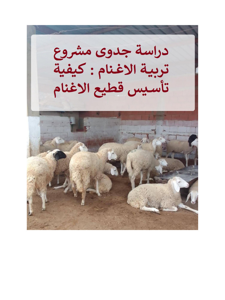 تربية الاغنام | PDF
