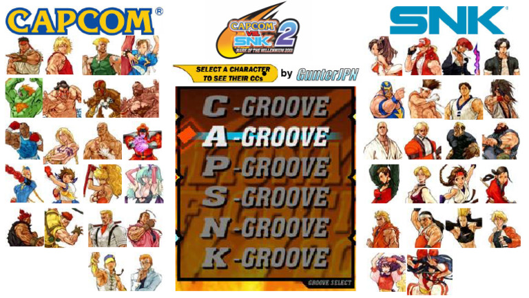 CVS2 Custom Combo Guide | PDF