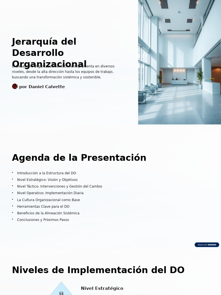 Jerarquia Del Desarrollo Organizacional | PDF | Business | Economias