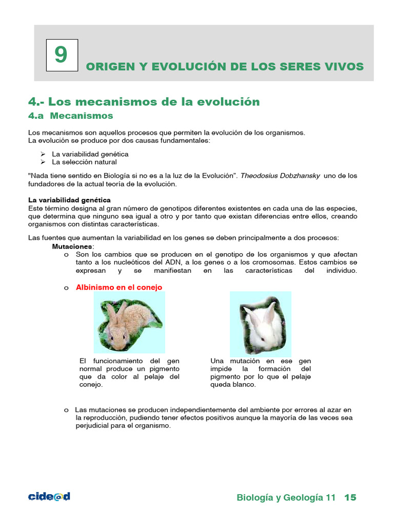 Mecanismos de Evolución y Adaptación | PDF | Evolución | Seleccion natural