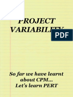 Project Variability