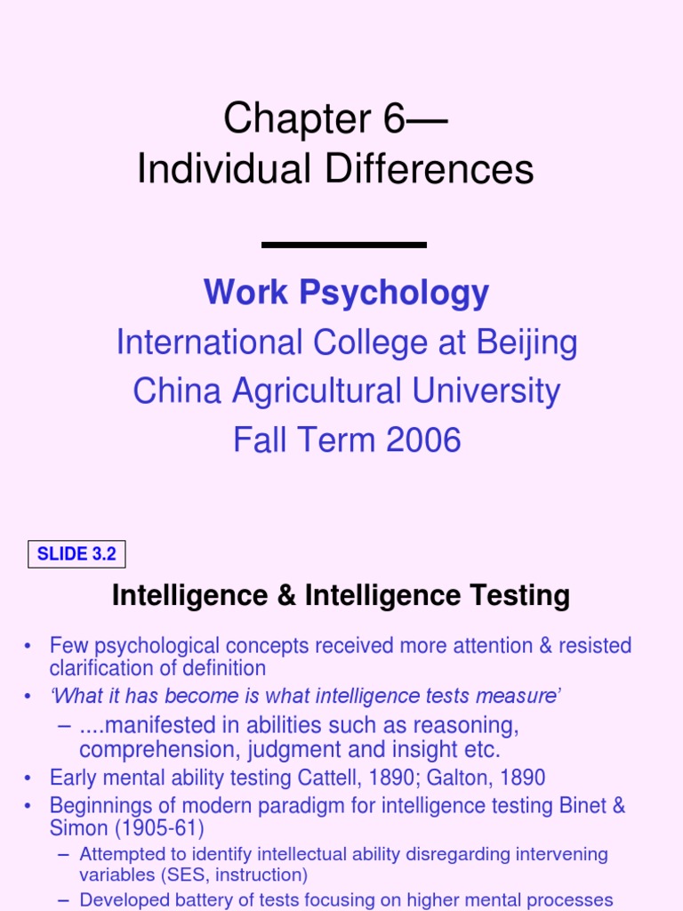 Individual Differences | PDF