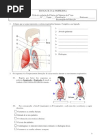 Ficha de Avaliação de Ciências da Natureza do 6º Ano - Sistema Respiratório