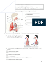 Ficha de Avaliação de Ciências Da Natureza Do 6º Ano - Sistema Respiratório