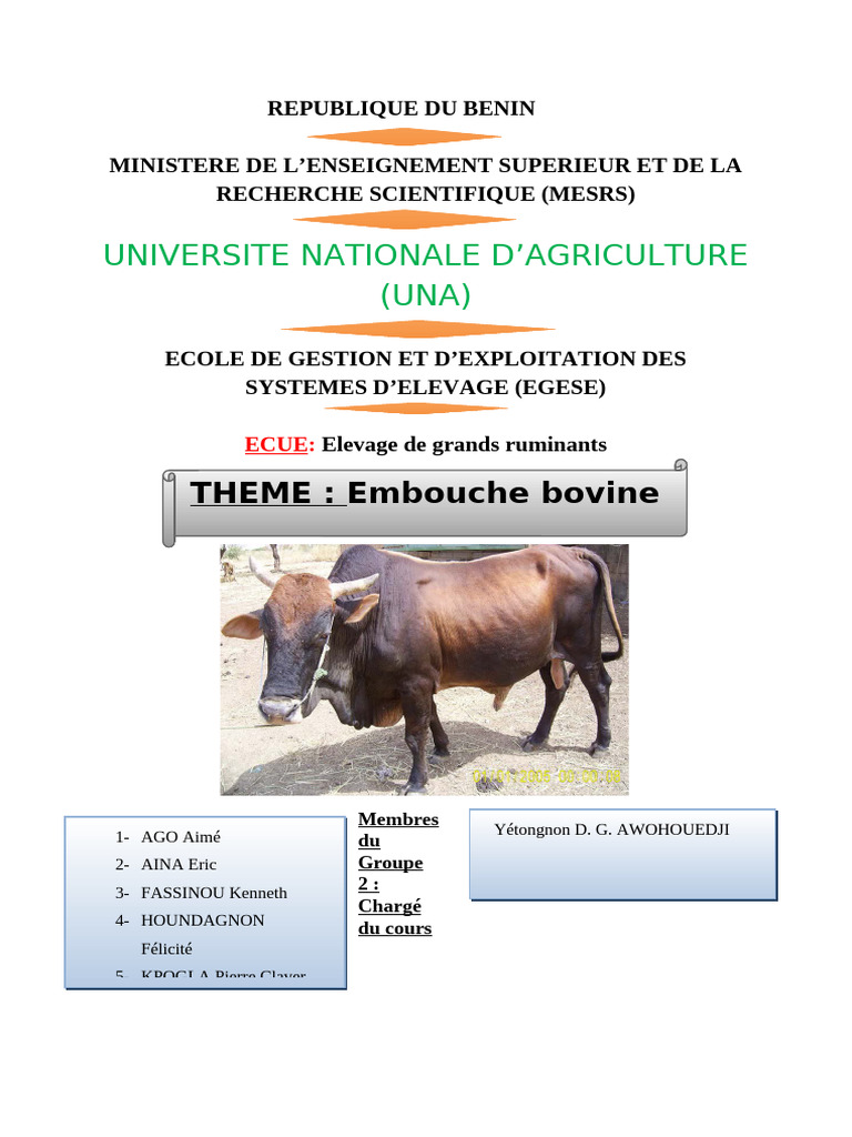Techniques d'embouche bovine efficaces | PDF | Foin | Maïs