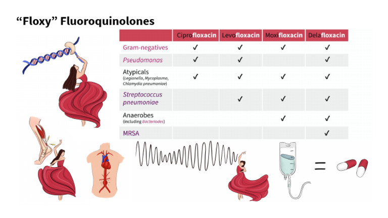 Fluoroquinolone Summary | PDF