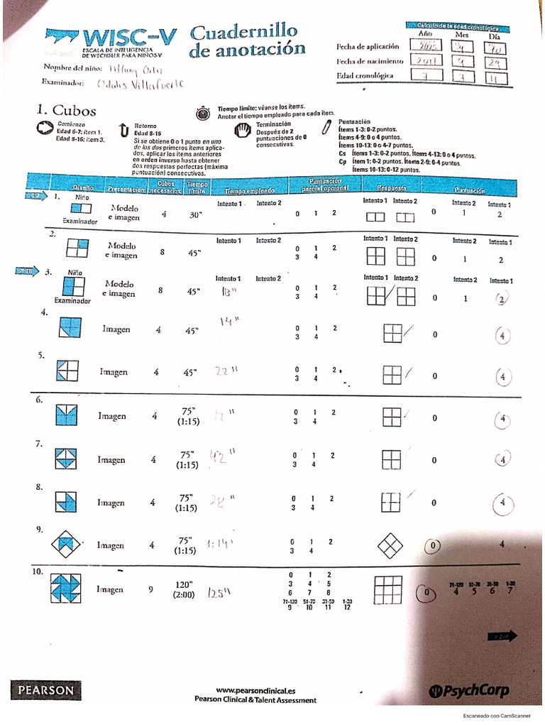 Test Wisc V | PDF