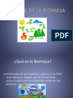 Bio Mas A