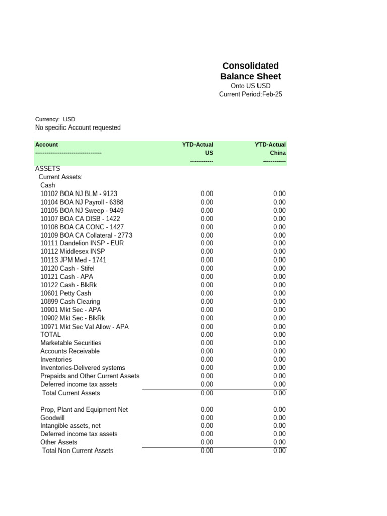 Program Publish FSG Report 090525 | PDF | Equity (Finance) | Accounting