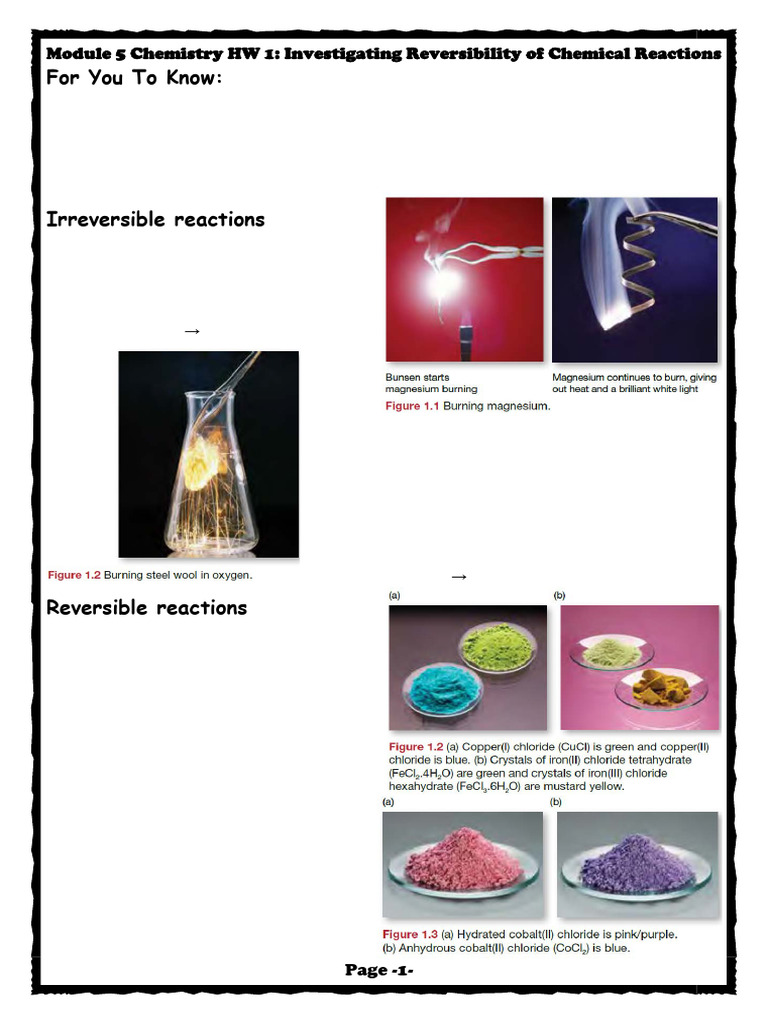 M5 Chemistry Homework 1 - Investigating Reversibility of Chemical ...