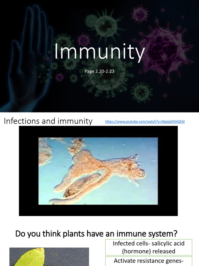 Understanding Immunity and Vaccination | PDF | Immune System | Vaccines