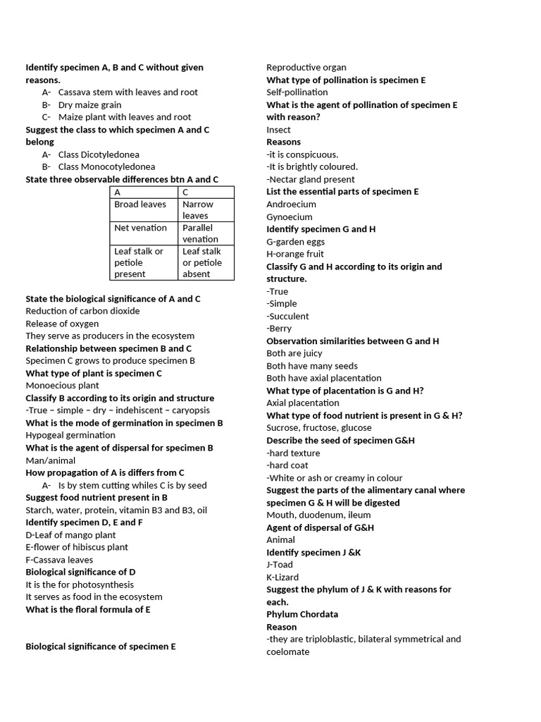 Specimen Identification in Biology | PDF | Leaf | Plants