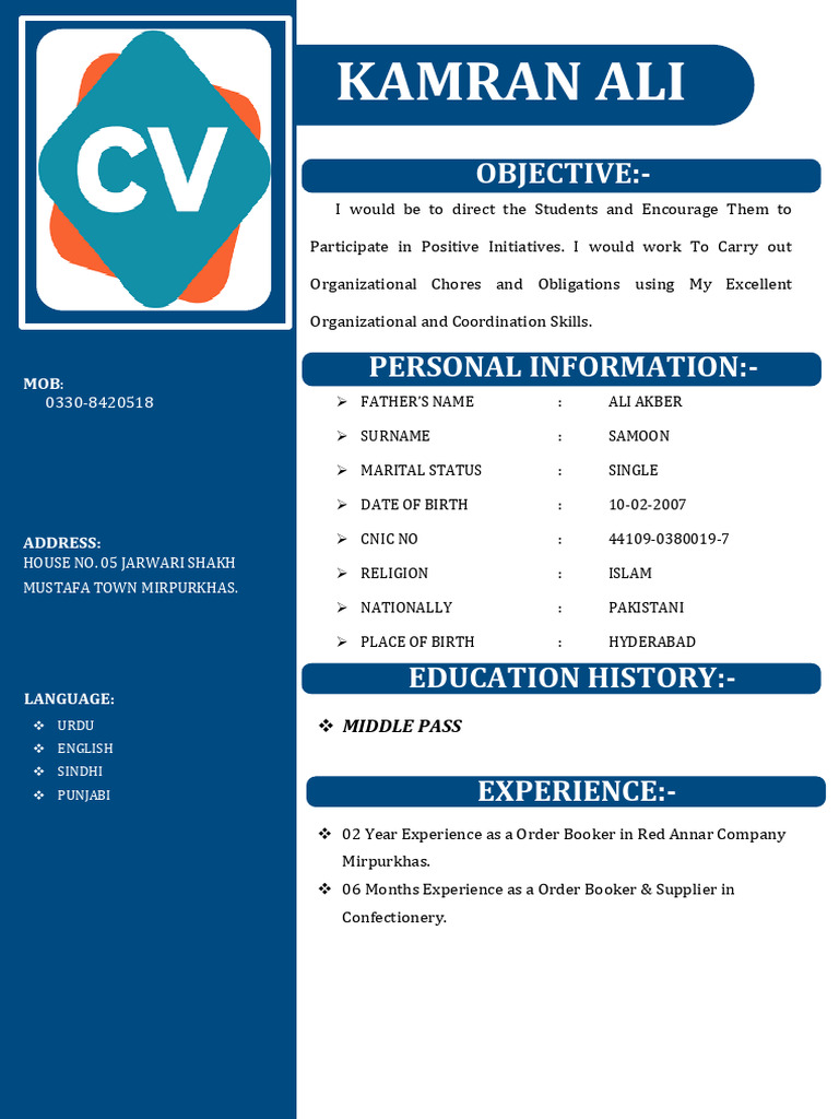 Personal Profile and Experience Summary | PDF
