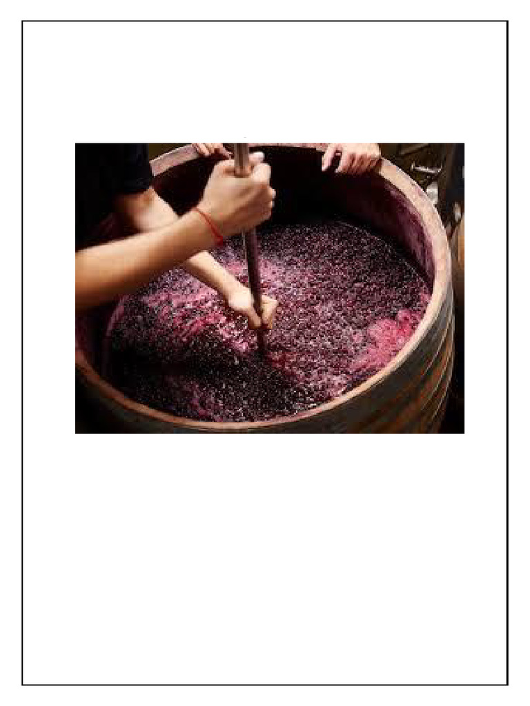 Yuva Shree's Grape Fermentation Project | PDF | Fermentation In Food ...