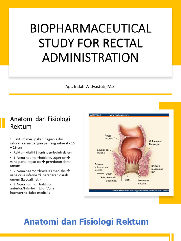 Studi Biofarmasi Pemberian Rektal Obat | PDF