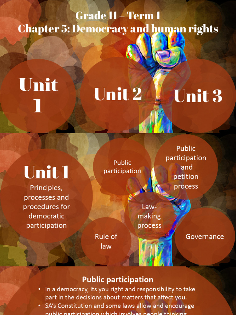 Democracy and Public Participation Guide | PDF | Elections | Democracy