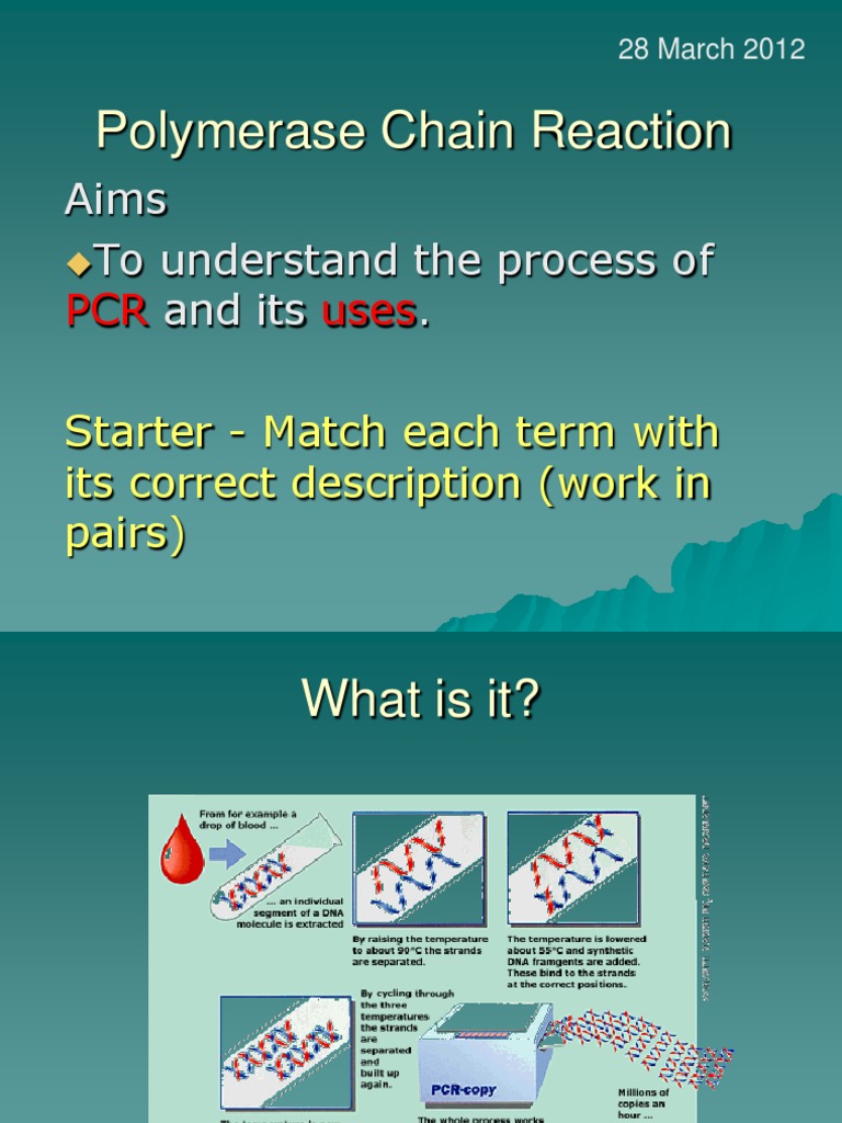 PCR | PDF | Science & Mathematics | Computers