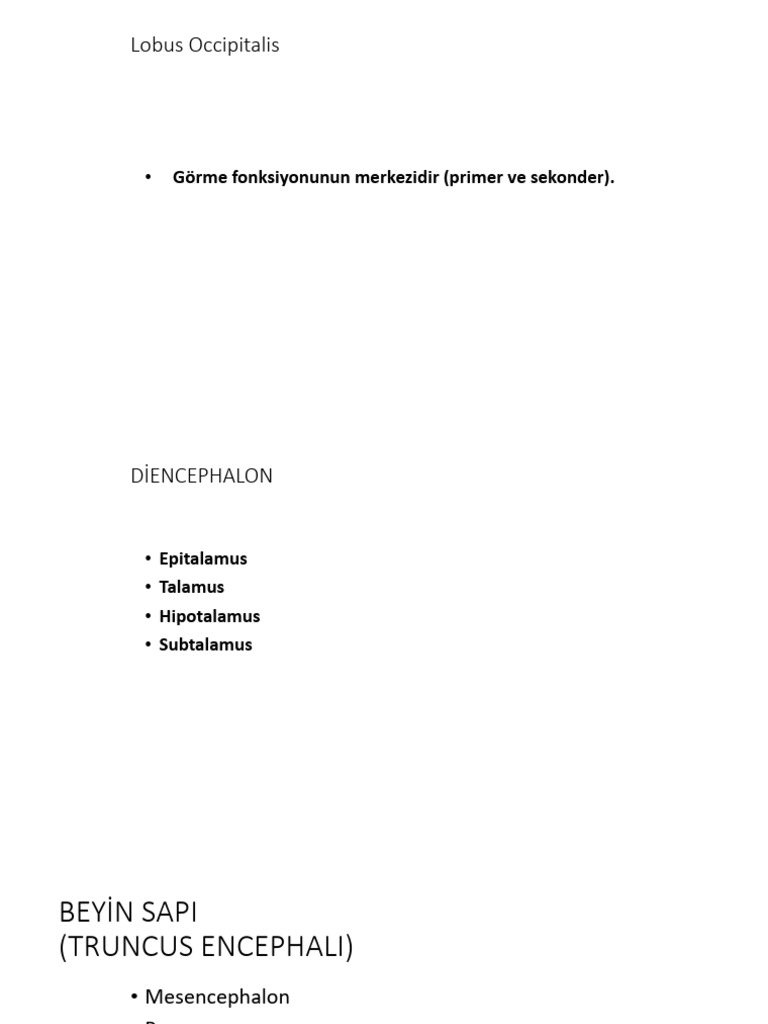 12 MSS2 | PDF