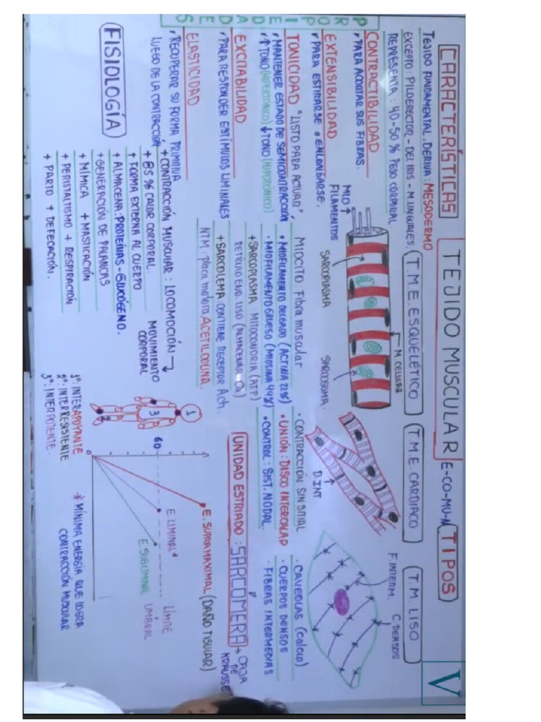 Anatooo | PDF
