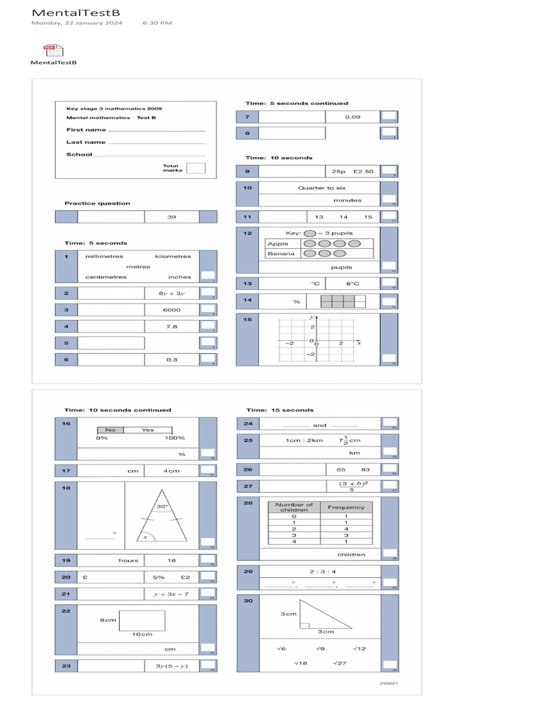 Mental Test B | PDF