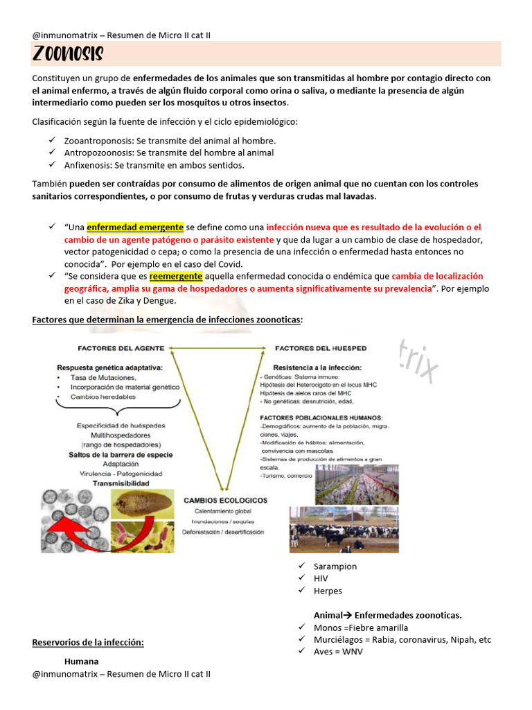 Anfixenosis y Zoonosis: Resumen Micro II | PDF | Influenza ...