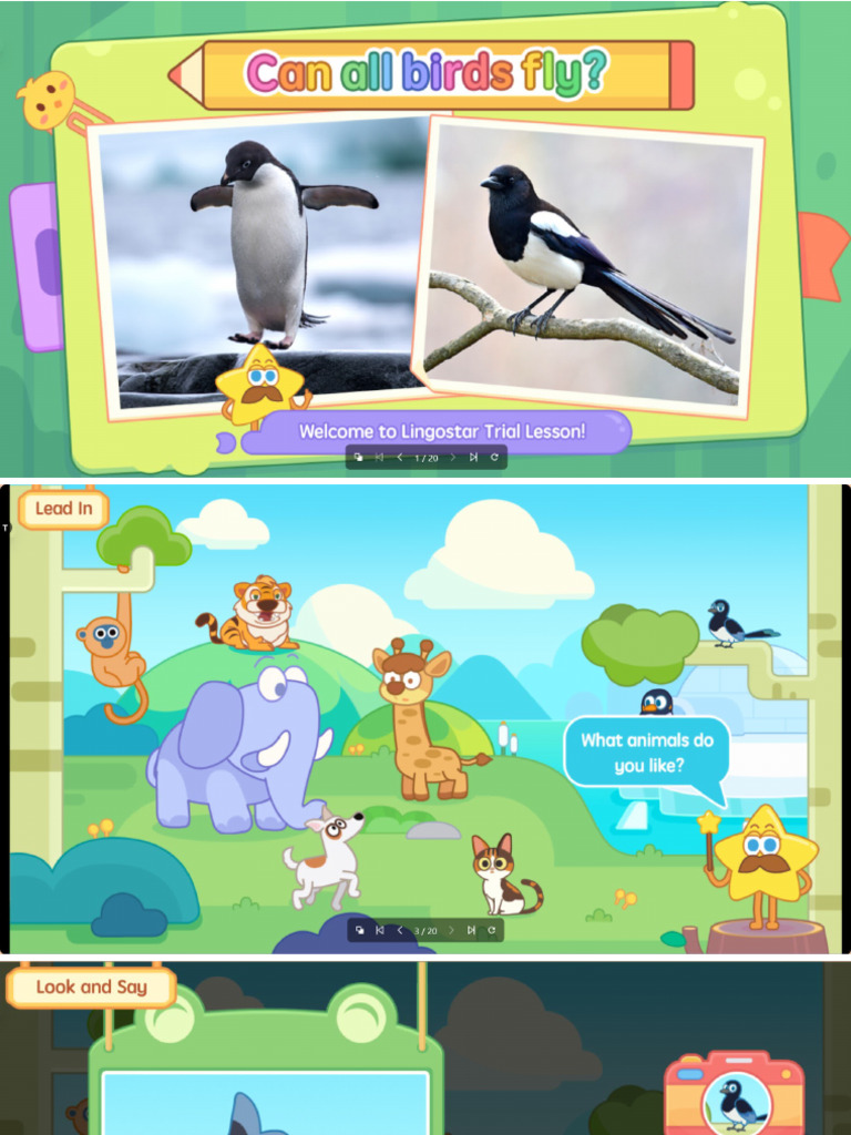 Demo PPT Magpie ESL | PDF