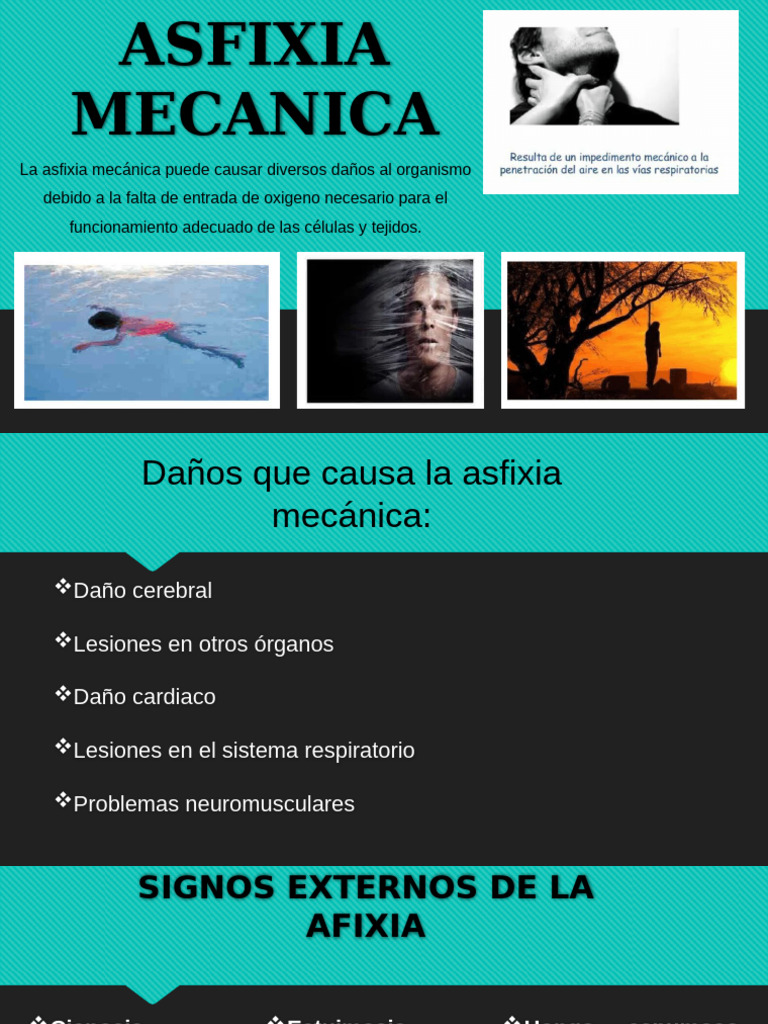 ASFIXIA MECANICA. Presentación | PDF | Sistema respiratorio | Tórax