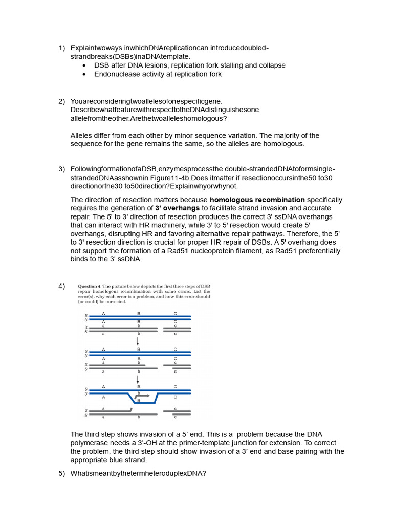 Questions Homologous Recombination | PDF | Dna | Dna Repair