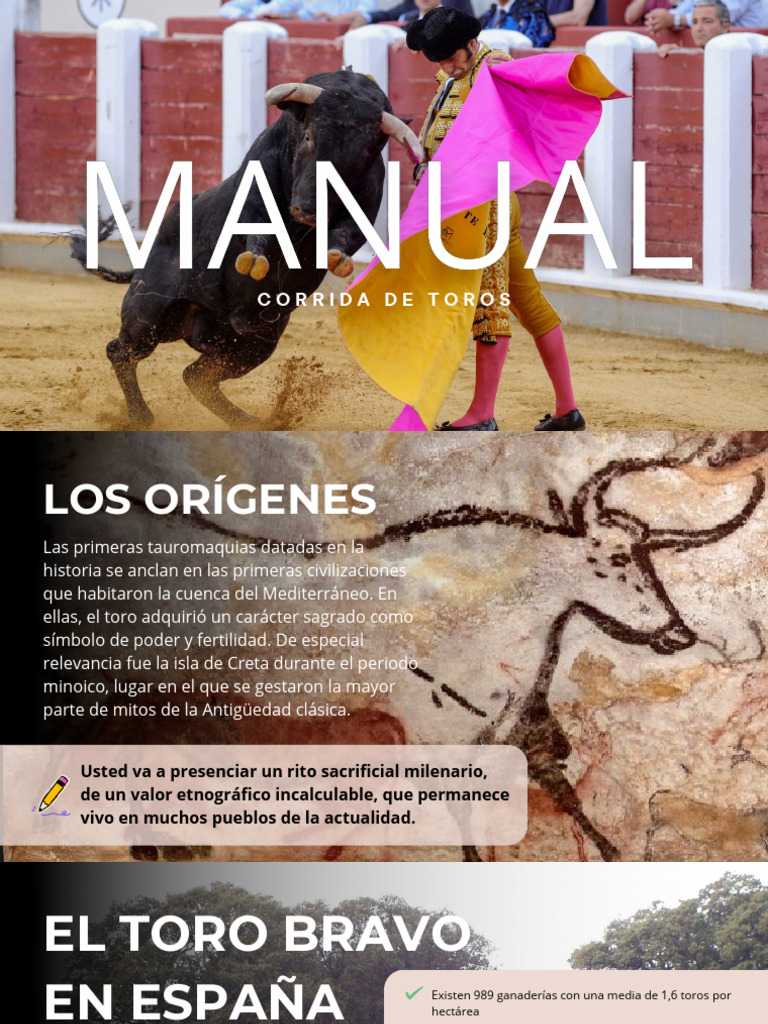 Manual de la Corrida de Toros | PDF | Toreo | Cebo (deporte de sangre)