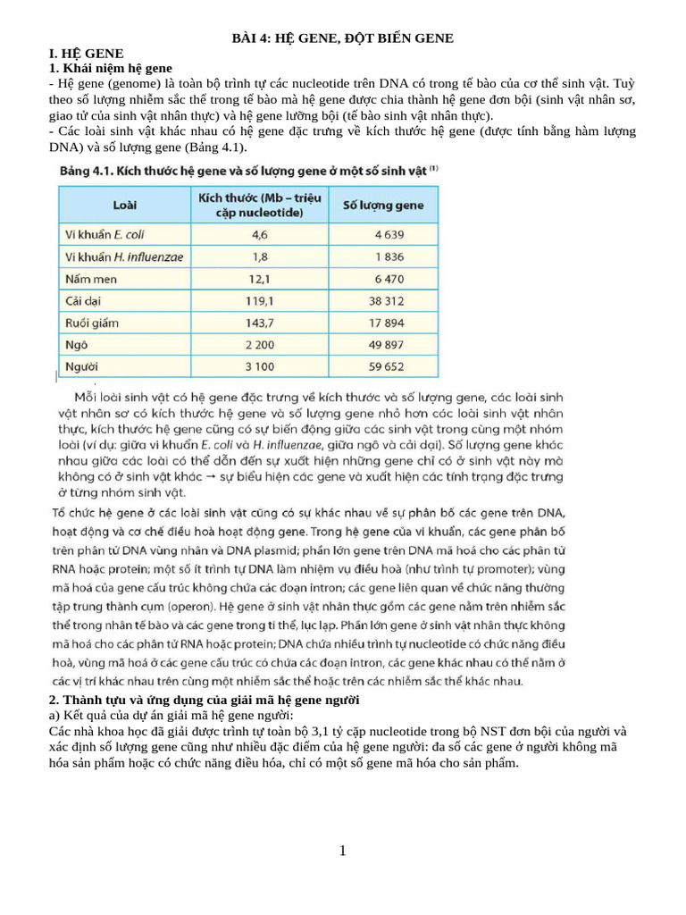 HS. HỆ GENE, ĐB GENE | PDF