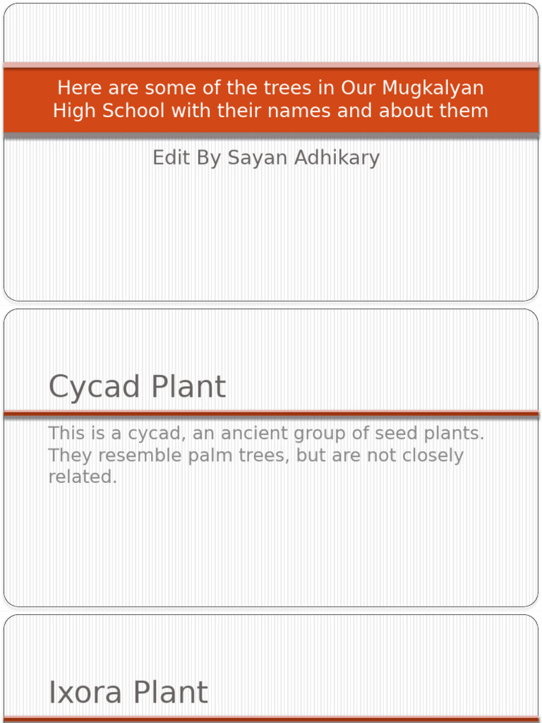 Here Are Some of The Trees in Our | PDF | Leaf | Botany