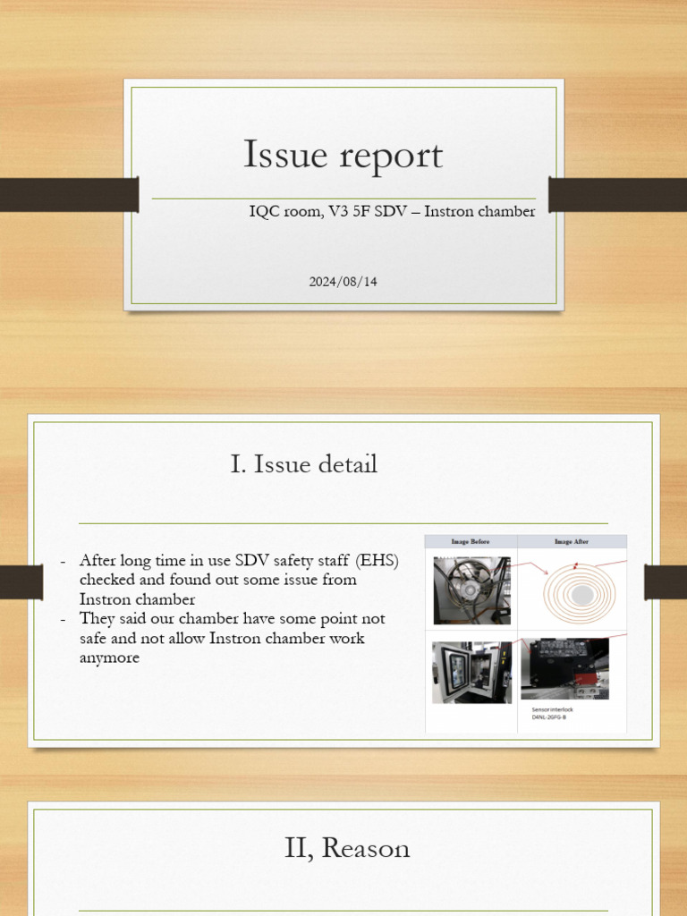Issue Report 2024-08-14 | PDF