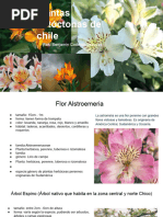 Plantas Nativas del Norte de Chile | PDF | Hogar, jardinería y bricolaje