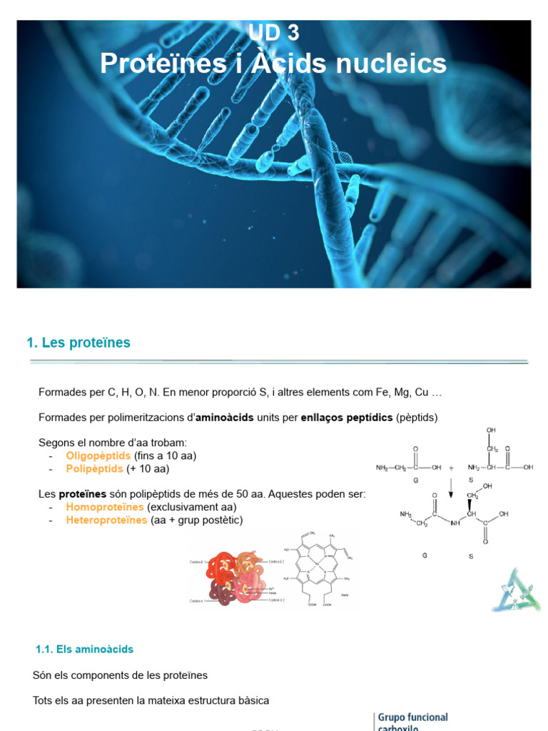 1 Ud 3 | PDF