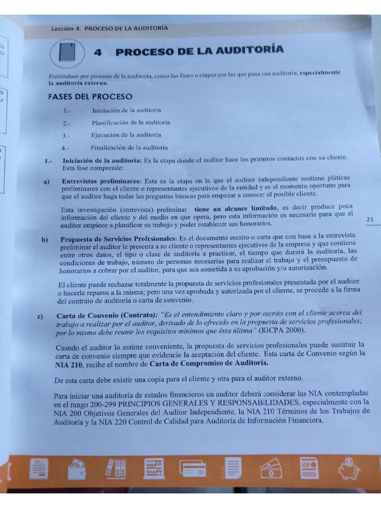 Proceso de La Auditoria | PDF