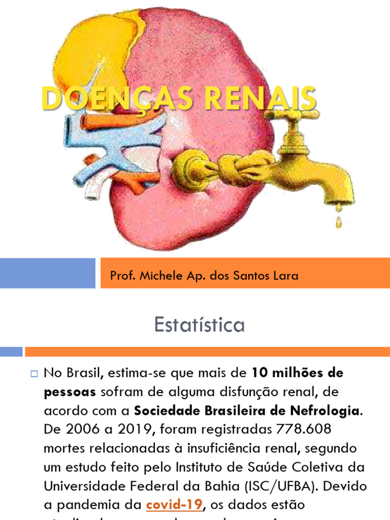 Principais Doenças Renais e Sintomas | PDF | Rim | Infecção do trato ...