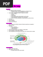 Estrutura e Funcao Dos Nucleos Da Base | PDF | Gânglios basais ...