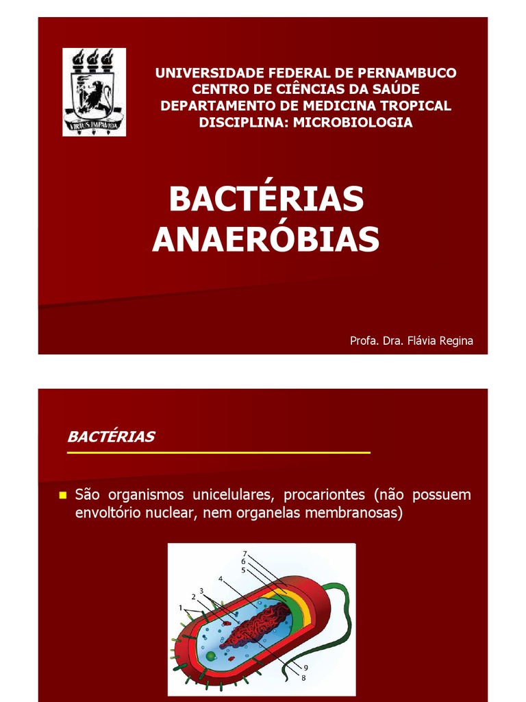 Bactérias Anaeróbias: Tipos e Hábitats | PDF | Bactérias ...