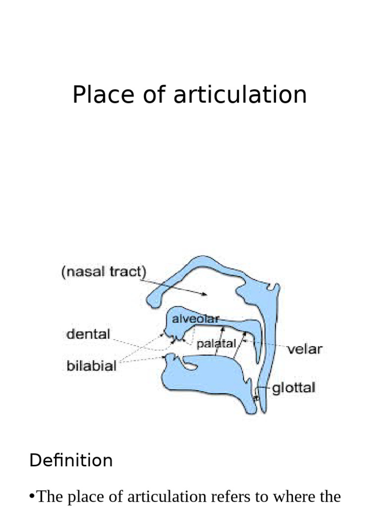 Understanding Places of Articulation | PDF | Linguistics | Human Voice