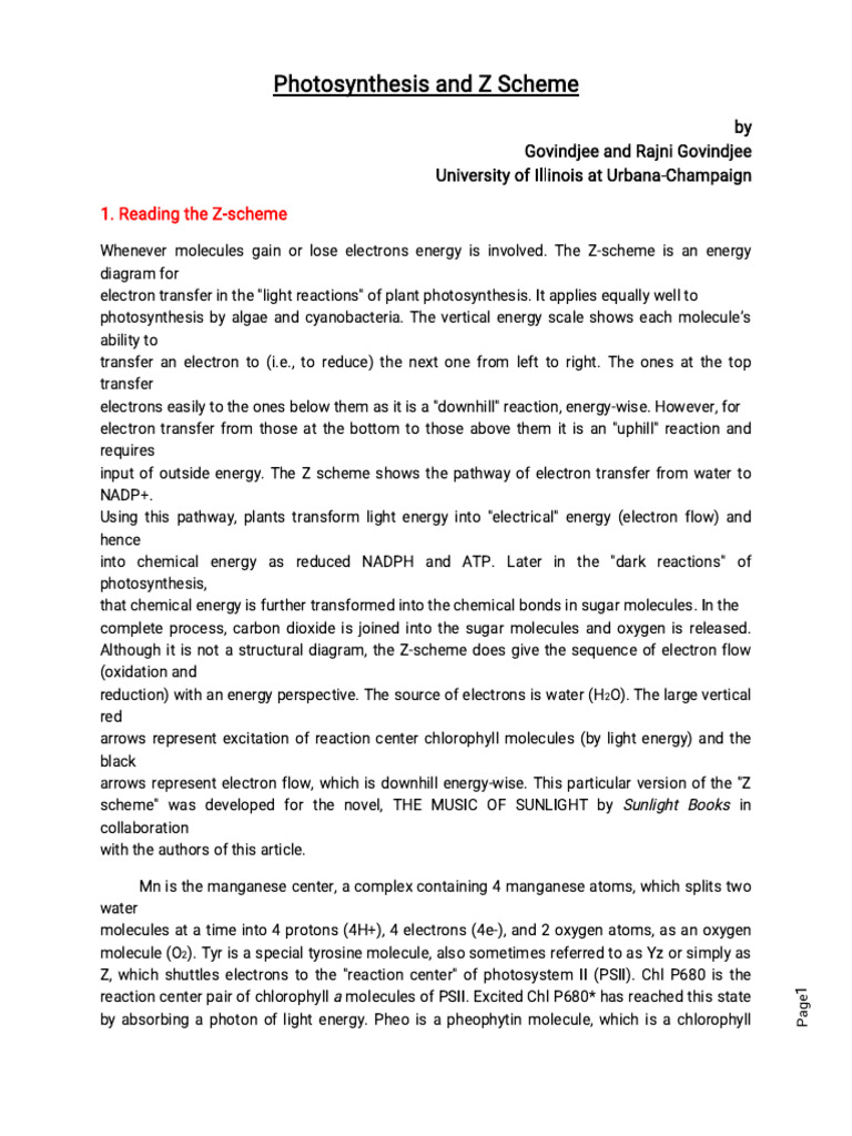 Understanding the Z-Scheme of Photosynthesis | PDF | Photosynthesis ...