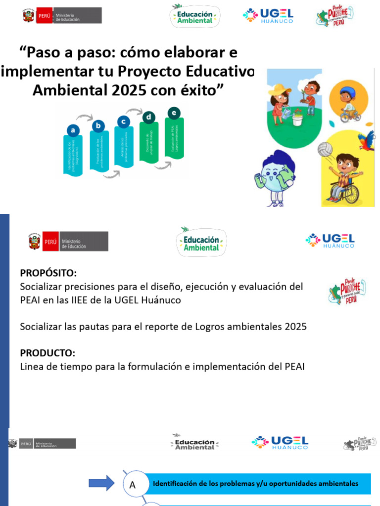 Implementación del PEAI 2025 en IIEE | PDF | Agua | Residuos