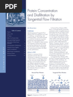 Download MILLIPORE - Protein Concentration and Diafiltration by Tangential Flow Filtration by annesmth SN87036554 doc pdf