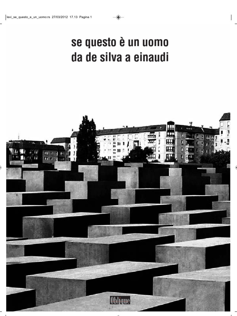 Se Questo è Un Uomo Poesia Riassunto