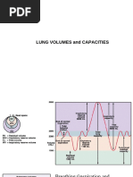 Heliox Therapy Flow Calculations | PDF | Respiration | Gases