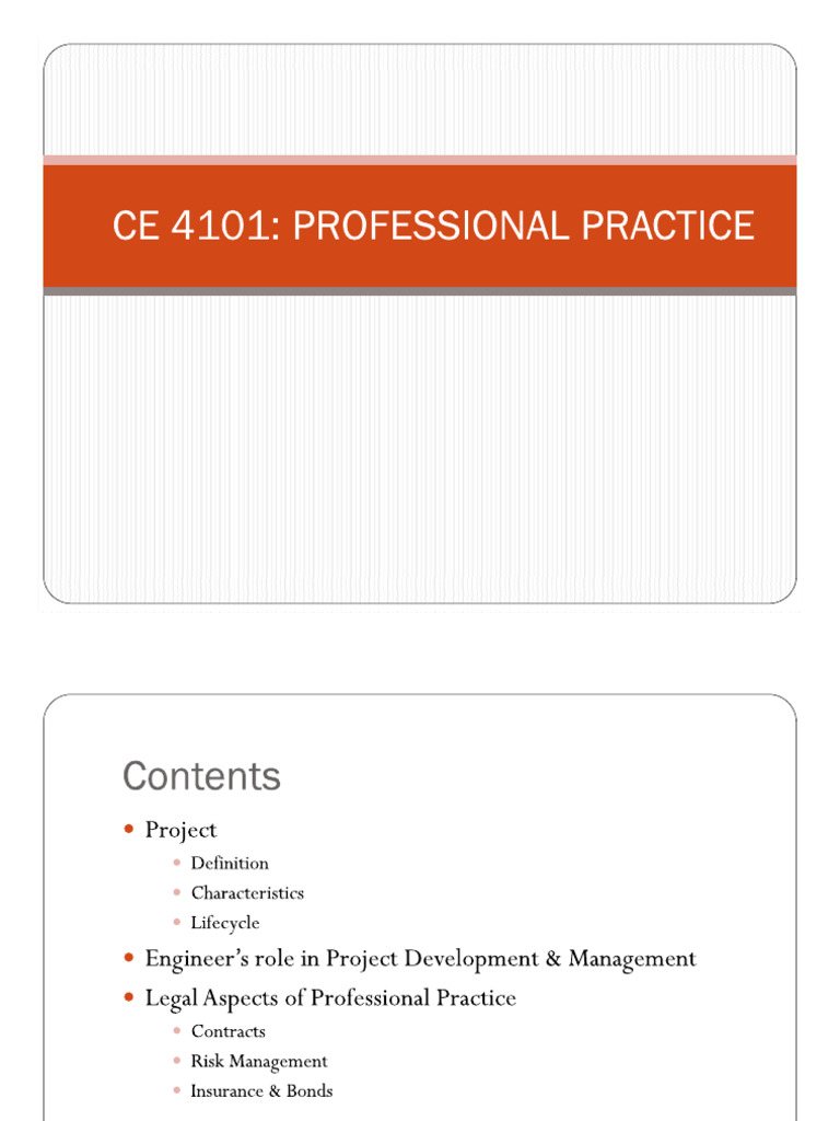 Professional Practice Introduction | PDF