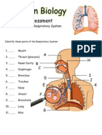 Module 6 Assessment