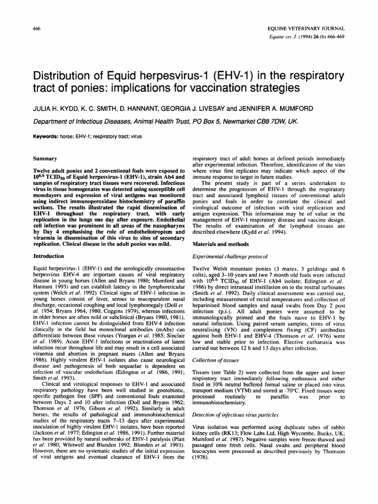 Istribution of Equid Herpesvirus-1 (EHV-1) in the Respiratory Tract of ...